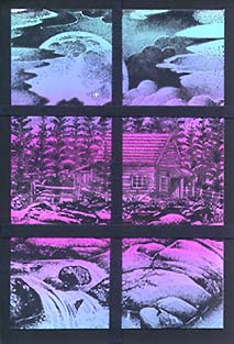 Views of the Cabin