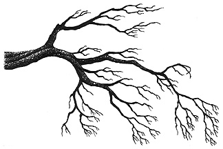 273g spooky branch branch design