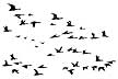 151E Migrating Birds lg