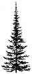 196F Pine Tree