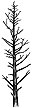 369C Leafless Pines (sm)