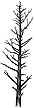 370E Leafless Pines (med)
