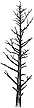 371G Leafless Pines (lg)