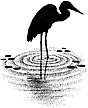 418B Heron in Water Small