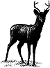 419D Deer Silhouette