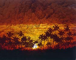 Palm Sunset
