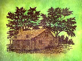 Green Cabin