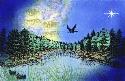 9-Step: Nature's Magnificence