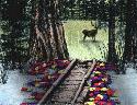 7-Step: Deer Country