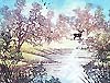 9-Step: Oaks and Stream