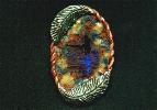 Frame 11, 11-Step Progression