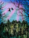 9-Step: Pink Aurora Borealis