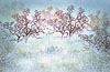11-Step: Oaks and Fog