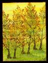 8-Step: Trees In Watercolor