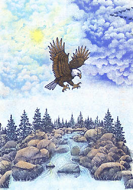 Swoop