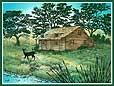 101: Cabin and Doe