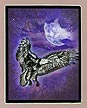 Night Flight