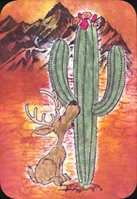 Desert Christmas
