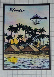 Beach Flight