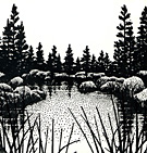 Frame 1, SimpleScapes North Star Miniscapes