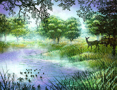 Morning Mist