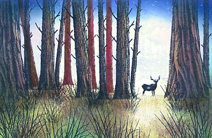 Trees and Elk